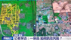 视频丨从“会种地”到“慧种地” 看十亿亩农田